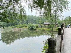 -溱湖国家湿地公园