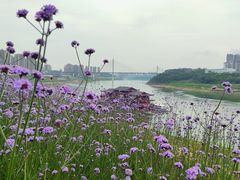 -石井坡(地铁站)