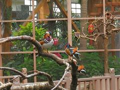 -南宫五洲植物乐园