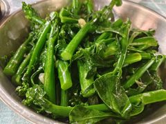 -石岐乳鸽村(桥观坊南四巷店)