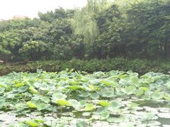-烟桥古村