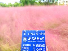 -南京医科大学(江宁校区)