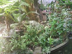 -Fern Forest Cafe