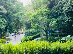 -广州市白云山风景名胜区