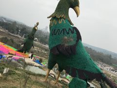 -都江堰玫瑰花溪谷
