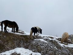 -太子岭滑雪场