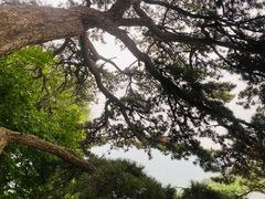 -妙峰山风景名胜区