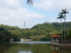 -深圳仙湖植物园
