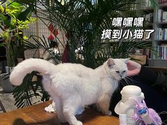 -谷咖啡·鲜花绿植花园餐厅