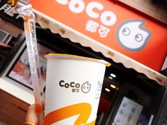 鲜柠檬红茶-CoCo都可(常德路店)