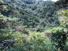 -金龙寺国家森林公园