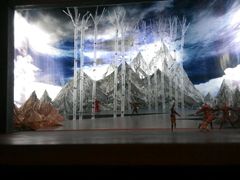 android_upload_pic-国家大剧院