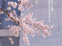 -龙美术馆(西岸馆)