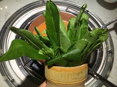 -蕃茄述·好汤自然来(江汉路店)