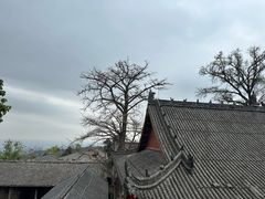 -金堂县云顶石城风景区