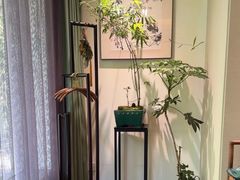 -王府茶宴(大观园总店)
