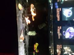 android_upload_pic-同济大学四平路校区深海探索馆