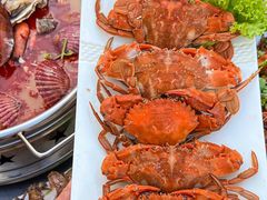 -桔子海鲜烧烤大排档(台东店)