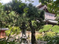 -龙华寺