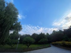 -莲花池公园