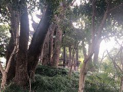 -韩湘水博园
