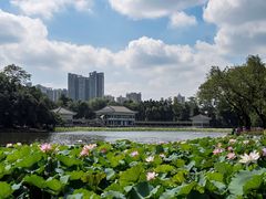 -荔湾湖公园