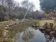-白马涧龙池景区