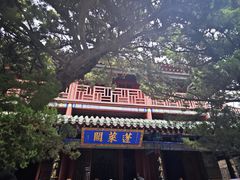 -蓬莱阁景区