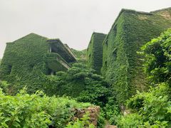 -枸杞岛