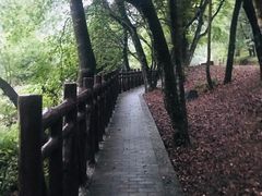 -广州市石门国家森林公园