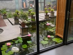 -酒蜻蜓·庭院私房菜(天元东路店)