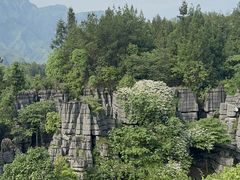 -梭布垭石林景区