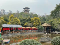 -张坝桂圆林公园