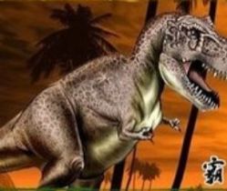 点击看大图 -恐龙探索乐园(磁器口店)