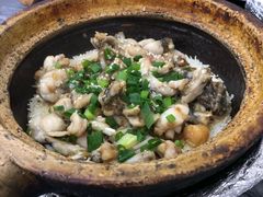 -红星光发煲仔饭(大石街店)