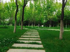 -长春世界雕塑园冰雪艺术天地