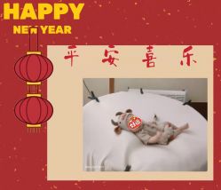 -贝喜月子会所(临平店)