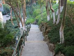 -上海市保健医疗中心