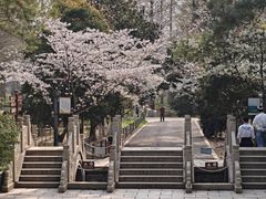 -宝岩生态观光园