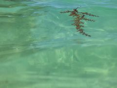 -东姑阿都拉曼海洋公园
