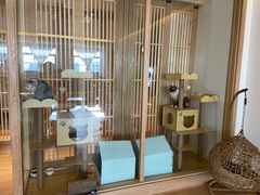 -猫腻·猫咖·撸猫馆(星光大道店)