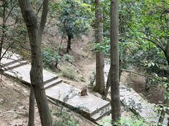 -黔灵山公园