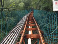 -藏龙百瀑风景区