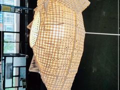 -京门活鱼馆·鱼火锅(百子湾（原红庙）店)