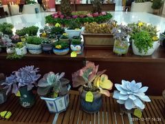 -南京财经大学（仙林校区）-图书馆