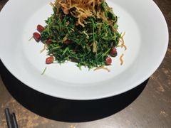 巧拌豆苗-四季民福烤鸭店(西单华威约饭街店)