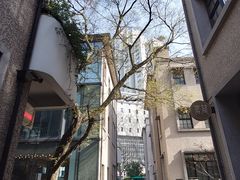 -徐家汇源景区-衡山坊
