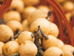 -塘栖枇杷特色园区