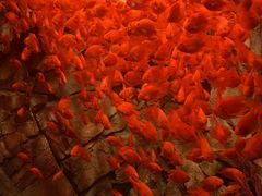 -波塞冬旅游度假区