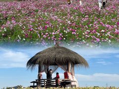 -径山花海